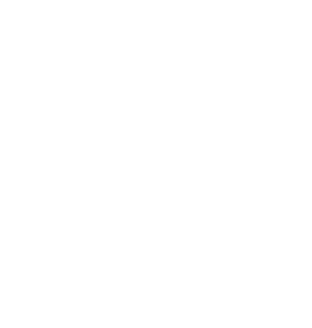 Instinct Logo