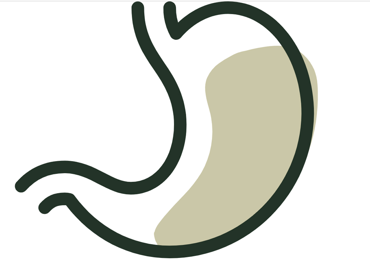 소화력 향상/더 작고 단단한 변 상태