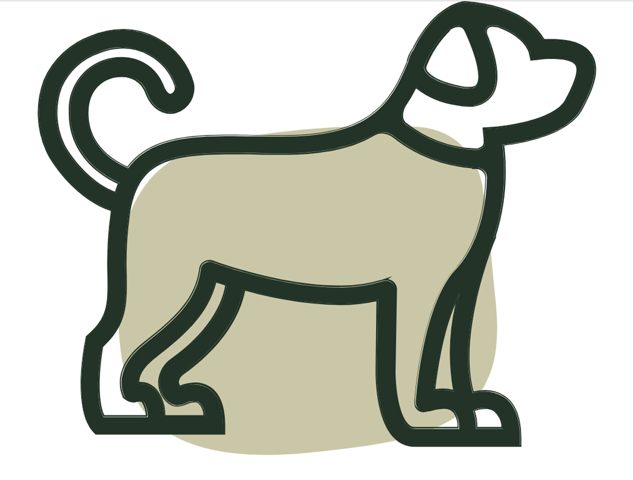 체중 조절 및 관리